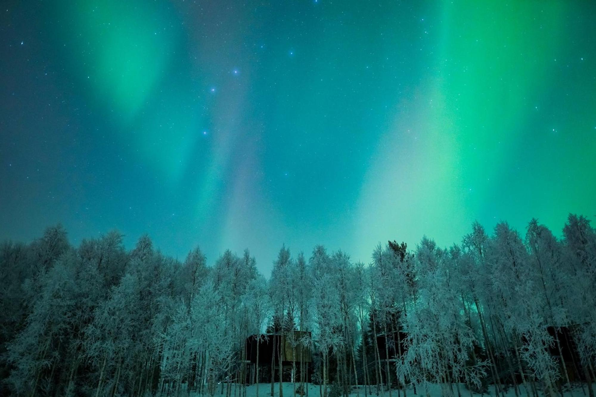 Silver Birch Resort Lapland Рованиеми Экстерьер фото